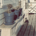 Photograph of the deck of the poet’s house on Miramar Beach in Montecito, California (December, 1961).